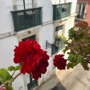 In The Heart Of Appartement